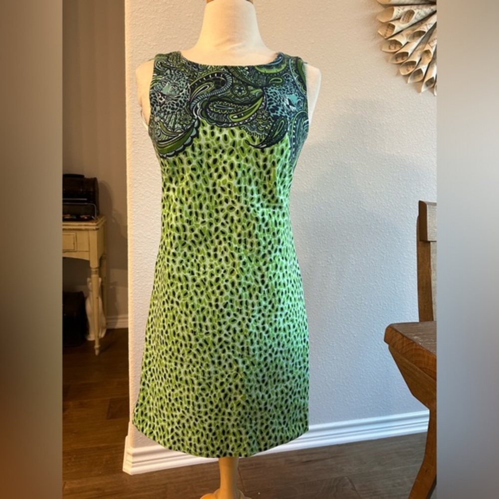Lilly Pulitzer little master of the house leopard green and blue dress 6